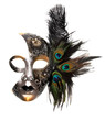 Ornate carnival mask isolated on white background