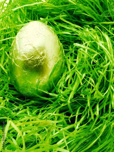 Photo: golden egg golden egg