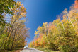 White car on an unpaved dirt road in a vibrant autumn forest