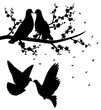 Pigeons kissing.