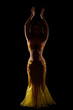 beautiful Bellydancer in golden costume