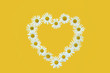 Daisy in love shape over yellow background