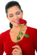 attractive woman smelling red rose smiling. isolated on white