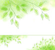 Vector spring banner with green foliage
