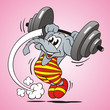 Elefant Heavyweight