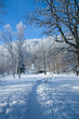 Footpath in snowy park Footpath in snowy park