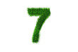 Grüne Nummer 7 Grüne Nummer 7