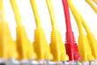 RJ45 network plugs red and yellow