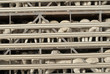 Sheep on multi-level transport vehicle