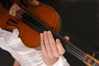 antique violin