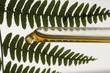 Essenze naturali