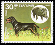 Animals on a postage stamp Animals on a postage stamp