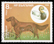 Animals on a postage stamp Animals on a postage stamp
