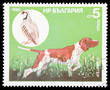 Animals on a postage stamp Animals on a postage stamp