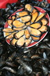 Moules fraiches