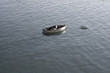 Solitary boat