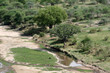 African Landscape - Tarangire National Park. Tanzania, Africa
