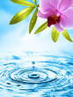 Erfrischung und Wellness Erfrischung und Wellness