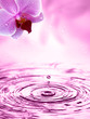 Wellness mit Orchidee