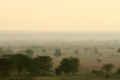 Landscape-  Tarangire National Park, Africa