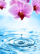 Wellness - bildlich dargestellt