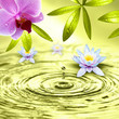 Schönes Wellness Motiv Schönes Wellness Motiv