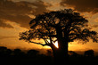 African Sunset. Tanzania, Africa African Sunset. Tanzania, Africa