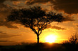 African Sunset. Tanzania, Africa African Sunset. Tanzania, Africa