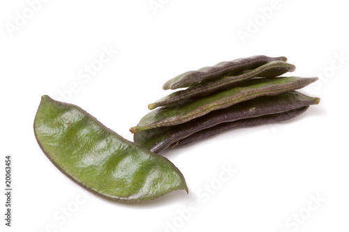 Photo: Indian Bean Indian Bean