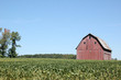 Red Barn on Right Red Barn on Right