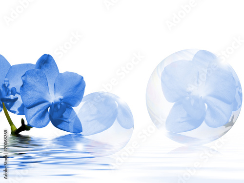 Foto: Aprilfrische blau Aprilfrische blau