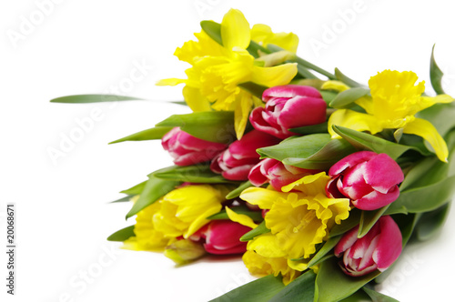 Photo: Blumenstraus aus Tulpen und Narzissen Blumenstraus aus Tulpen und Narzissen