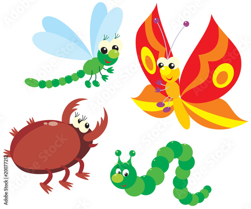 Vector: Caterpillar, butterfly, dragonfly and beetle Caterpillar, butterfly, dragonfly and beetle