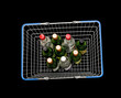 Bottles in shopping basket