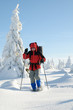 Mann mit Schneeschuhen im Pulverschnee