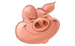 cochon