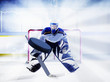 eishockey torwart