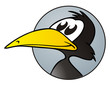 Illustration: Black Bird Button Black Bird Button