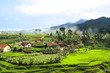 village d'agriculteur indonésie