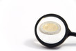 Euro