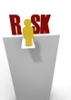 Risk