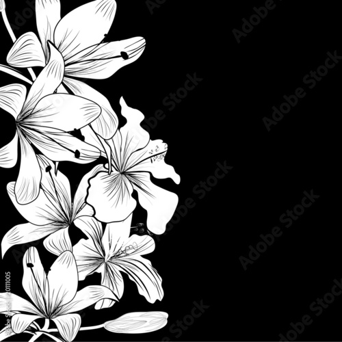 black and white backgrounds flowers. Black and white background