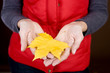 A woman holding an autumn leaf
