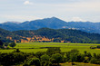 Napa Valley vineyard in California Napa Valley vineyard in California