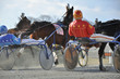 Harness Race
