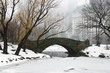 winter storm at the Gapstow bridge winter storm at the Gapstow bridge