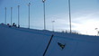 Practive Snowboarding