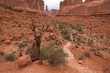 Hiker on Park Avenue Trail, Arches National Park