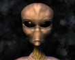 alien portrait with stars alien portrait with stars