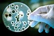 gloved hands with the laboratory tubes